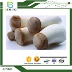 Coprinus Comatus Extract