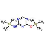 N-(Trimethylsilyl)-4-[(trimethylsilyl)oxy]-1,3,5-triazin-2-amine