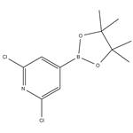 2,6-DICHLORO-4-(4,4,5,5-TETRAMETHYL-1,3,2-DIOXABOROLAN-2-YL)PYRIDINE