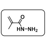 2-methylprop-2-enehydrazide