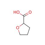 (R)-(+)-2-Tetrahydrofuroic acid