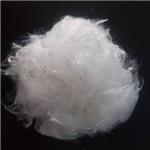 polyester fiber