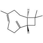 β-Caryophyllene