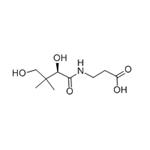 D-PANTOTHENIC ACID