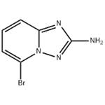 5-Bromo-[1,2,4]triazolo[1,5-a]pyridin-2-ylamine