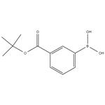 3-tert-Butoxycarbonylphenylboronic acid