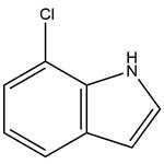 7-Chloroindole