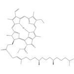 	Chlorophyll A