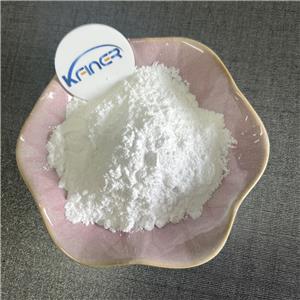 Carboxymethyl cellulose / CMC