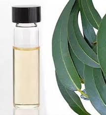 Eucalyptus oil