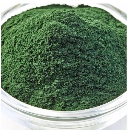 Spirulina Powder