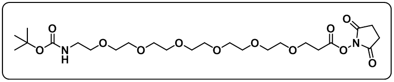 t-Boc-N-amido-PEG6-NHS ester