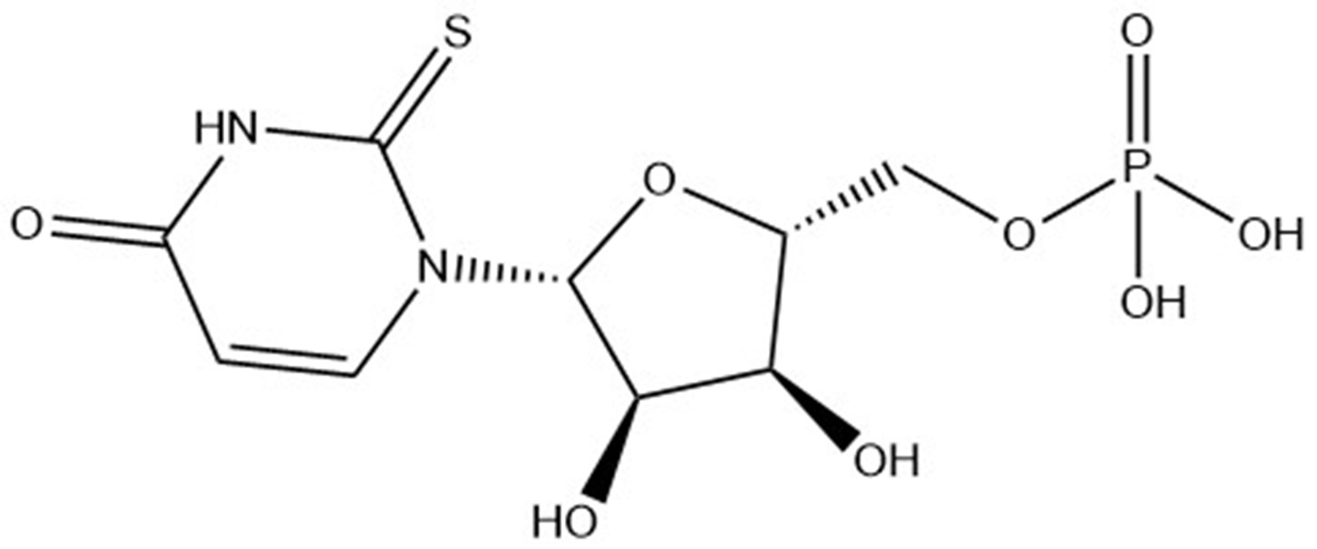 2-Thiouridine5'-phosphate