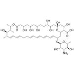 Anisomycin