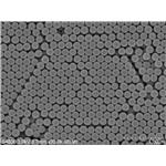 100nm Carboxyl-funtionalized Near-infrared(II) Microspheres