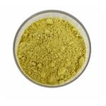 Hypericum Perforatum Extract/ Hyperoside