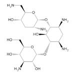 Tobramycin