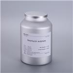 Neomycin Sulfate