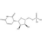 2-Thiouridine5'-phosphate