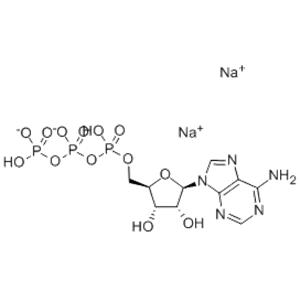 D-Biotiamide