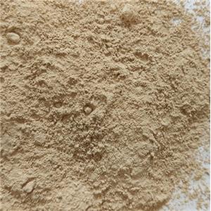 High Quality Nano Anion Powder Nano Negative Ions Powder