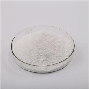 High Purity and Top Quality Carbohydrazide