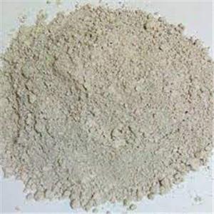 Food Grade Pool Grade Diatomaceous Earth Powder Diatomite Kieselguhr