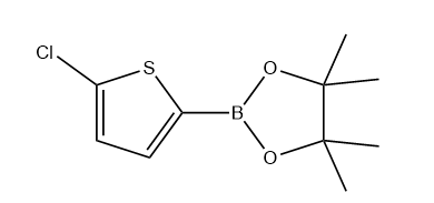 2-(5-chlorothiophen-2-yl)-4,4,5,5-tetramethyl-1,3,2-dioxaborolane