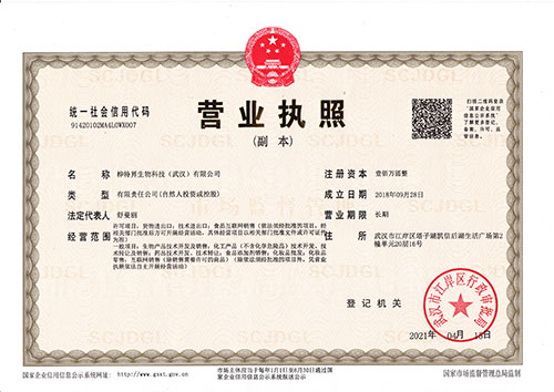 Business License Of EnterpriseLegal Person