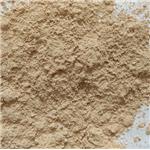 High Quality Nano Anion Powder Nano Negative Ions Powder