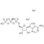 D-Biotiamide