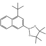 2-(4-(tert-butyl)naphthalen-2-yl)-4,4,5,5-tetramethyl-1,3,2-dioxaborolane