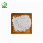 Oxacillin sodium monohydrate