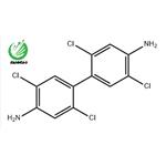 2,2',5,5'-Tetrachlorobenzidine