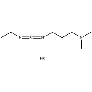 	1-(3-Dimethylaminopropyl)-3-ethylcarbodiimide hydrochloride