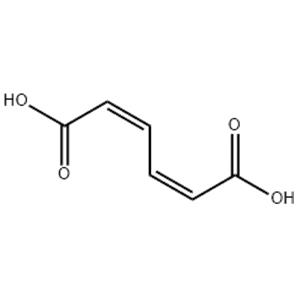 CIS CIS-MUCONIC ACID