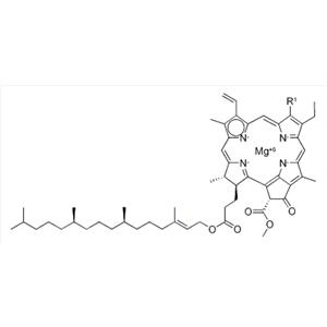 Chlorophyll