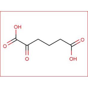 2-OXOADIPIC ACID