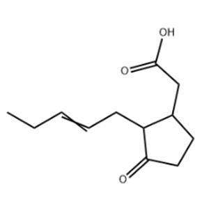 Jasmonic Acid