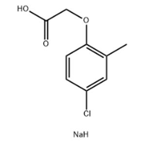 MCPA SODIUM