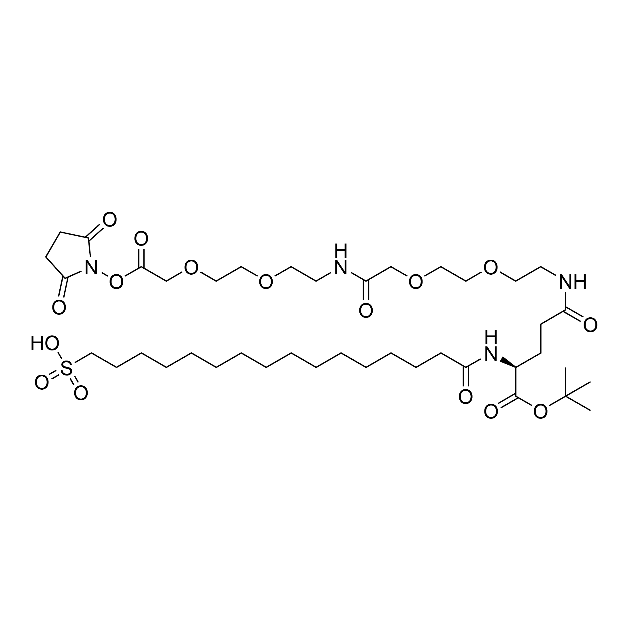 SO3H-Pla-Glu(AEEA-AEEA-OSu)-OtBu