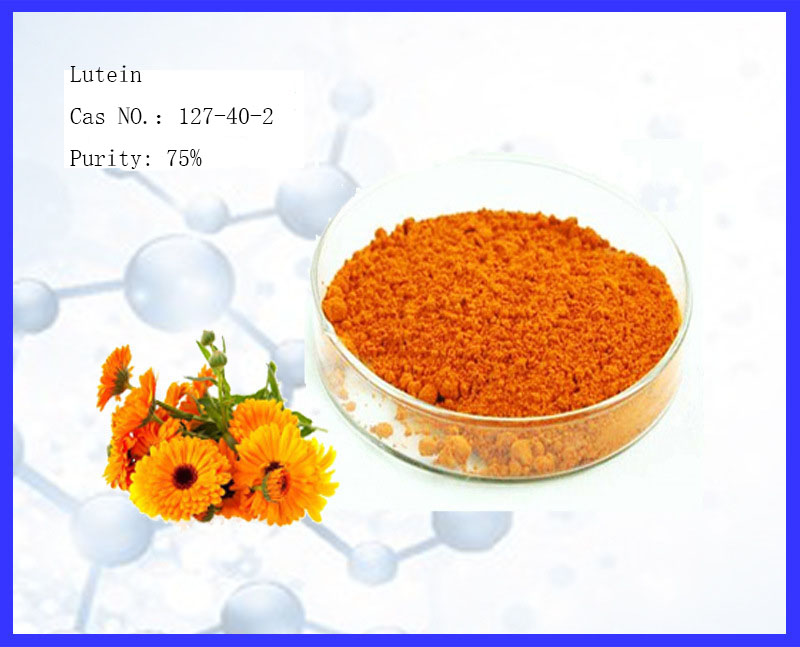 Marigold flower extract-Lutein Powder Comestic Grade For Improve Eye Health 