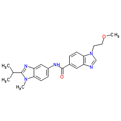 Protease K