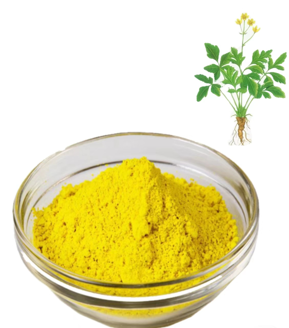 Berberine hydrochloride 97% 