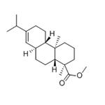 	DIHYDROABIETIC ACID METHYL ESTER