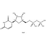 Uridine-5'-diphosphate disodium salt