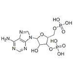 [5-(6-aminopurin-9-yl)-4-hydroxy-3-phosphonooxy-oxolan-2-yl]methoxyphosphonic acid