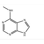 6-(METHYLAMINO)PURINE 