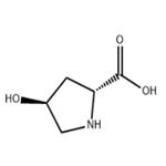 trans-4-Hydroxy-D-proline