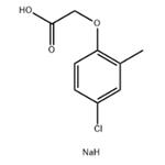 MCPA SODIUM